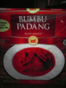 Bumbu Padang yang disatukan dengan nasi goreng