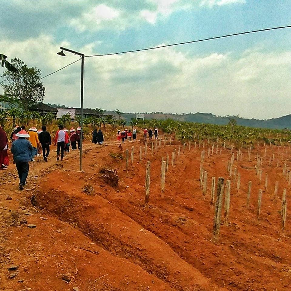 kebun indonesia berdaya