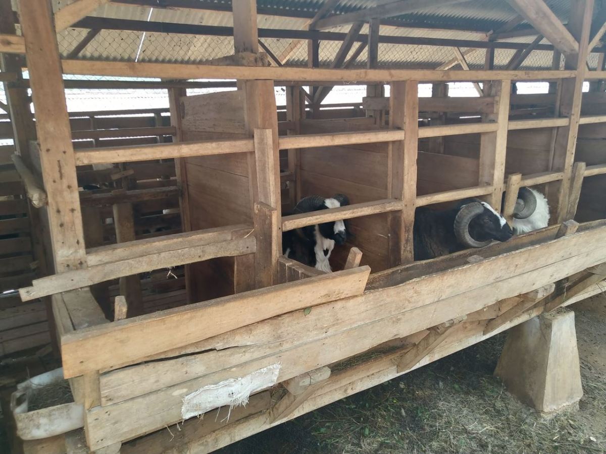 kebun indonesia berdaya